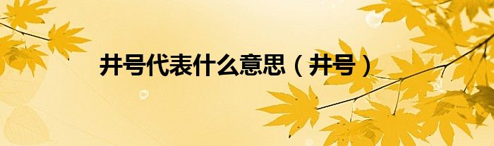 井号代表什么意思(井号)