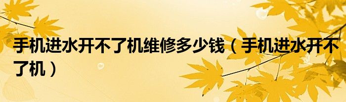 手机进水开不了机维修多少钱(手机进水开不了机)