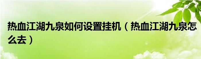 热血江湖九泉如何设置挂机(热血江湖九泉怎么去)