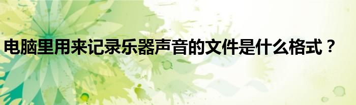 电脑里用来记录乐器声音的文件是什么格式?