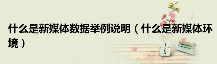 什么是新媒体数据举例说明(什么是新媒体环境)