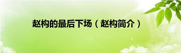 赵构的最后下场(赵构简介)