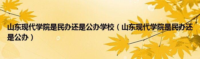 山东现代学院是民办还是公办学校(山东现代学院是民办还是公办)
