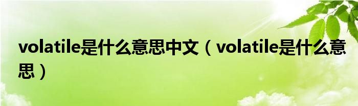 volatile是什么意思中文(volatile是什么意思)