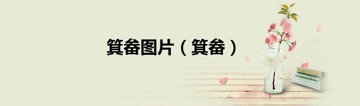 箕畚图片(箕畚)