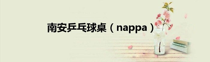 南安乒乓球桌(nappa)
