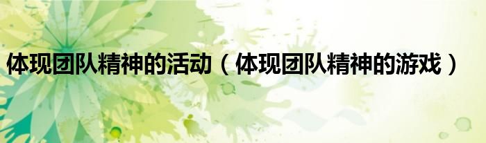 体现团队精神的活动(体现团队精神的游戏)