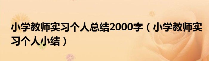 小学教师实习个人总结2000字(小学教师实习个人小结)