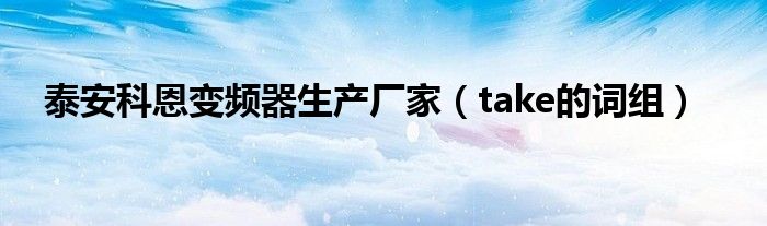 泰安科恩变频器生产厂家(take的词组)