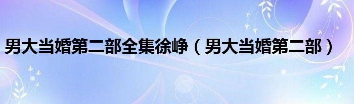 男大当婚第二部全集徐峥(男大当婚第二部)