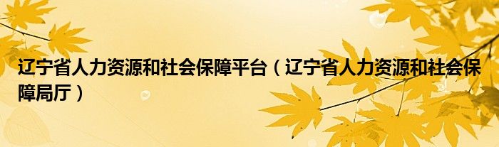 辽宁省人力资源和社会保障平台(辽宁省人力资源和社会保障局厅)