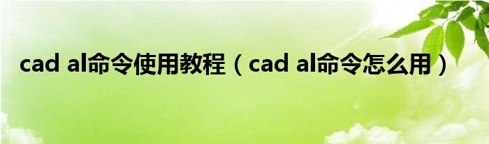 cad al命令使用教程(cad al命令怎么用)
