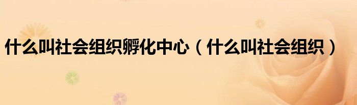 什么叫社会组织孵化中心(什么叫社会组织)