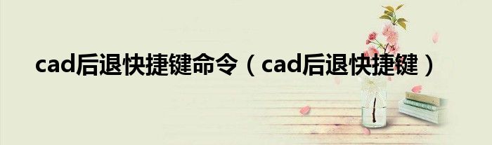 cad后退快捷键命令(cad后退快捷键)