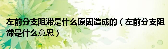 左前分支阻滞是什么原因造成的(左前分支阻滞是什么意思)