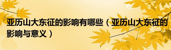 亚历山大东征的影响有哪些(亚历山大东征的影响与意义)