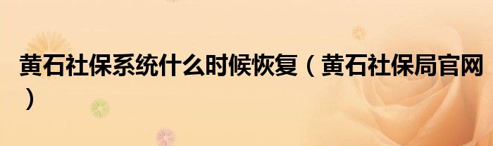 黄石社保系统什么时候恢复(黄石社保局官网)