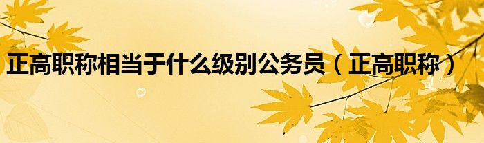正高职称相当于什么级别公务员(正高职称)