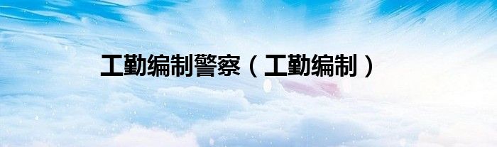 工勤编制警察（工勤编制）