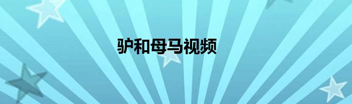 驴和母马视频