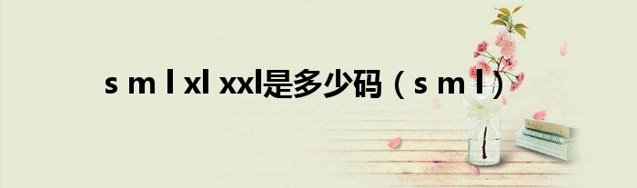 s m l xl xxl是多少码(s m l)