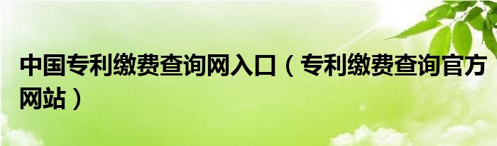 中国专利缴费查询网入口(专利缴费查询官方网站)