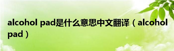 alcohol pad是什么意思中文翻译(alcohol pad)