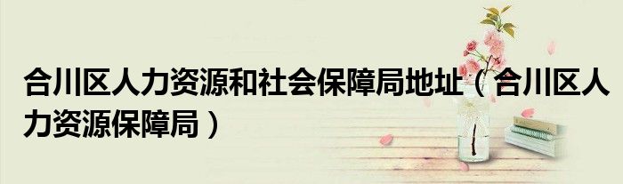 合川区人力资源和社会保障局地址(合川区人力资源保障局)