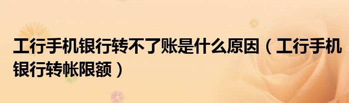 工行手机银行转不了账是什么原因(工行手机银行转帐限额)