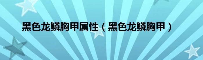 黑色龙鳞胸甲属性(黑色龙鳞胸甲)