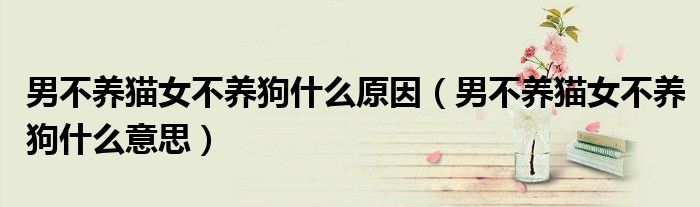 男不养猫女不养狗什么原因(男不养猫女不养狗什么意思)