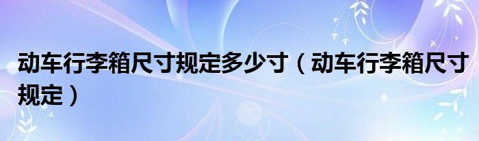 动车行李箱尺寸规定多少寸(动车行李箱尺寸规定)