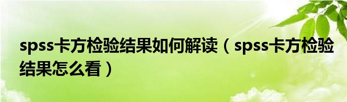 spss卡方检验结果如何解读(spss卡方检验结果怎么看)