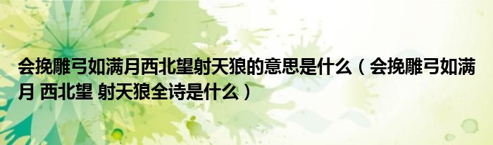 会挽雕弓如满月西北望射天狼的意思是什么(会挽雕弓如满月 西北望 射天狼全诗是什么)