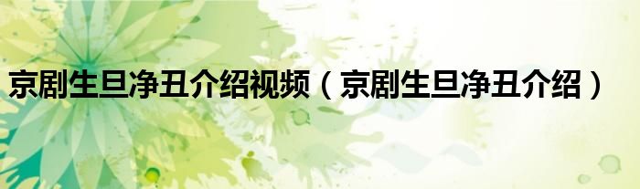 京剧生旦净丑介绍视频(京剧生旦净丑介绍)