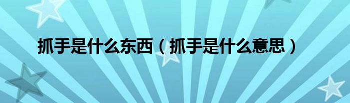 抓手是什么东西(抓手是什么意思)