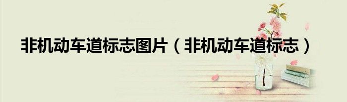 非机动车道标志图片(非机动车道标志)