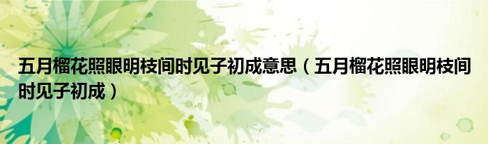 五月榴花照眼明枝间时见子初成意思(五月榴花照眼明枝间时见子初成)