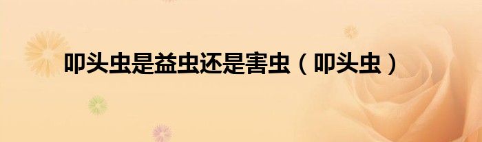 叩头虫是益虫还是害虫(叩头虫)