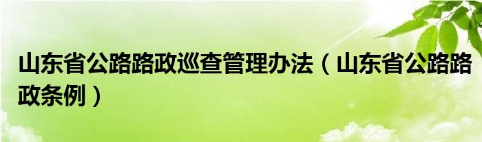 山东省公路路政巡查管理办法(山东省公路路政条例)