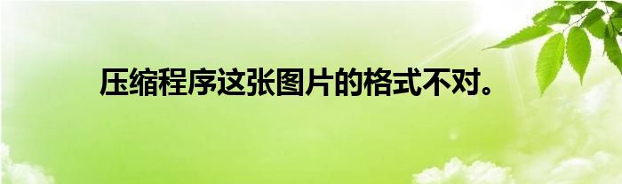 压缩程序这张图片的格式不对。