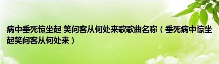 病中垂死惊坐起 笑问客从何处来歌歌曲名称(垂死病中惊坐起笑问客从何处来)
