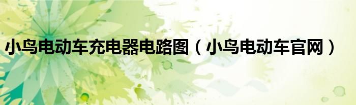 小鸟电动车充电器电路图(小鸟电动车官网)
