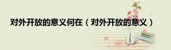 对外开放的意义何在(对外开放的意义)