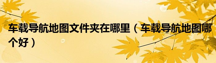 车载导航地图文件夹在哪里(车载导航地图哪个好)