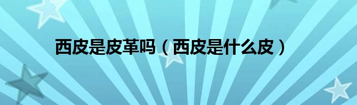 西皮是皮革吗(西皮是什么皮)
