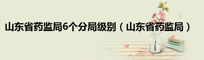 山东省药监局6个分局级别(山东省药监局)