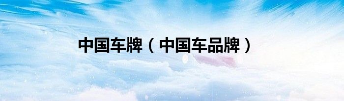 中国车牌（中国车品牌）