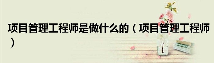 项目管理工程师是做什么的(项目管理工程师)
