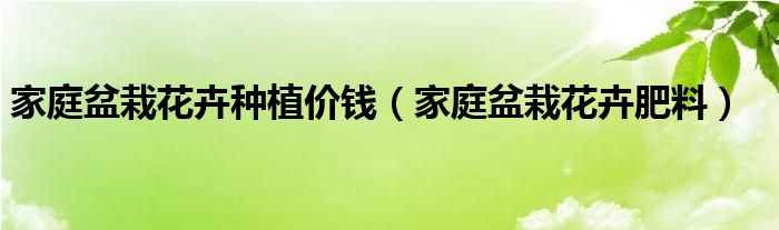 家庭盆栽花卉种植价钱(家庭盆栽花卉肥料)